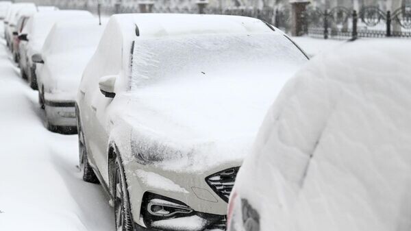    © Sputnik / Мария Амелина