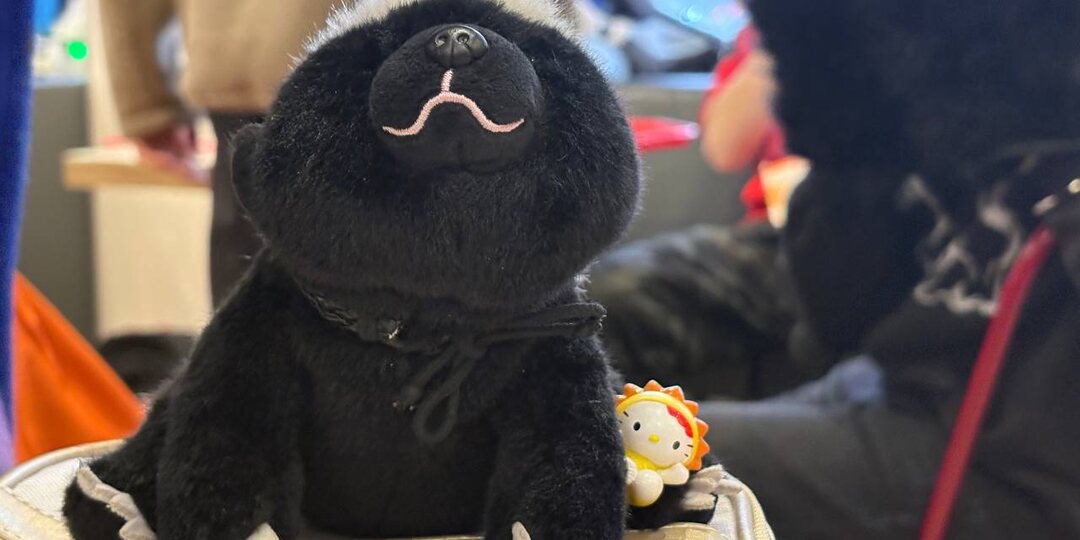 Мороз, ёлки и «Тот самый спектакль»: как прошла первая фурри-прогулка 2026 года в Твери!