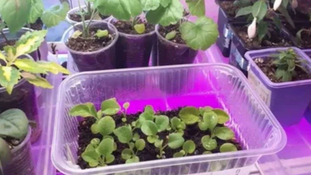 Четыре испытательные зоны - от бюджетных до премиальных