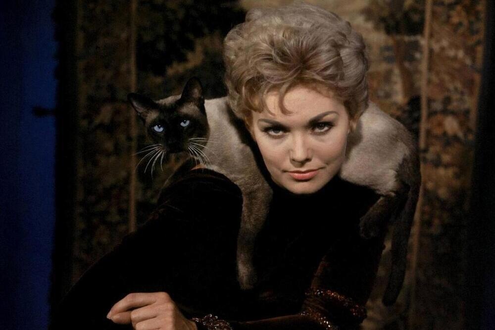    Кадр из фильма "Колокол, книга и свеча" (1958) / kinomania.ru