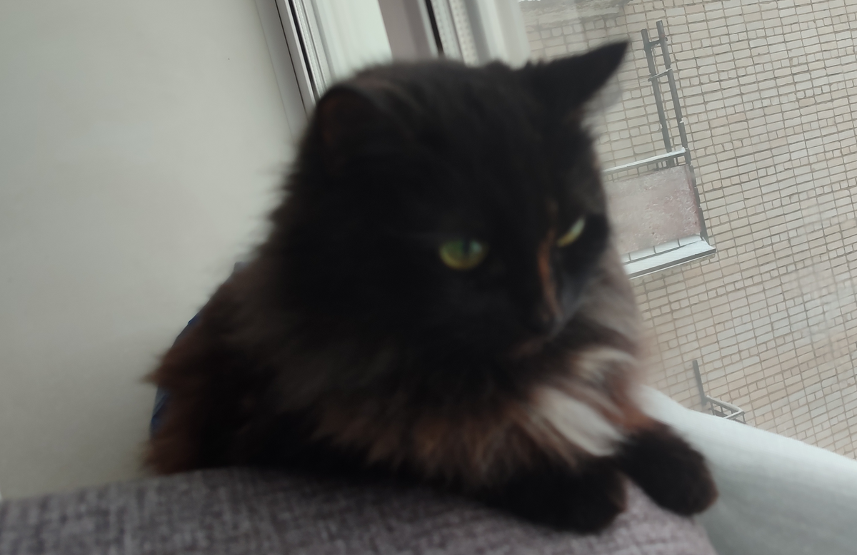 Ксюша на окне