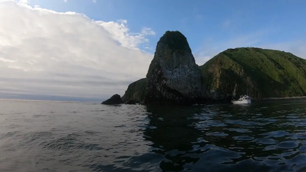    фото: скриншот видео