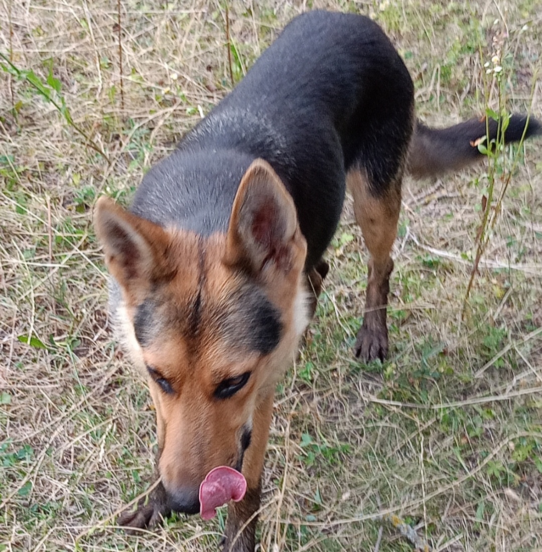 Фото автора. 