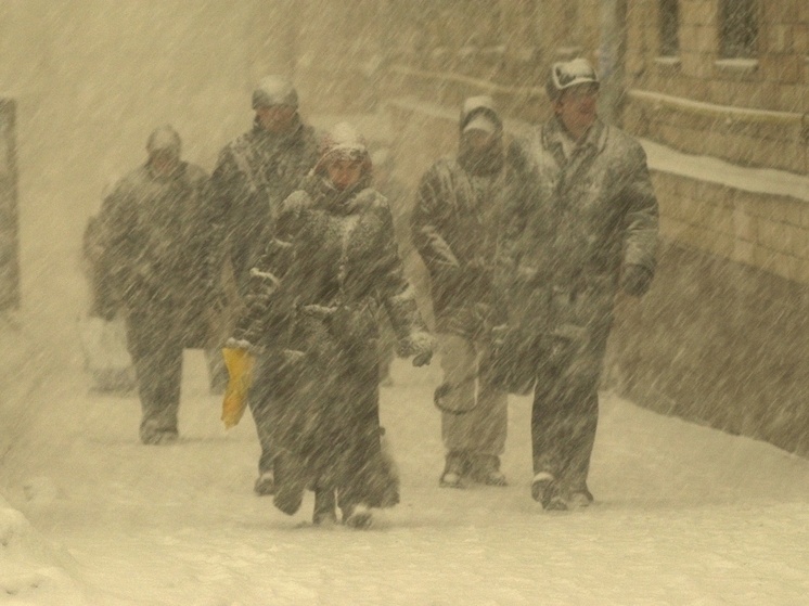     Фото Михаил Ковалев / Михаил Ковалев