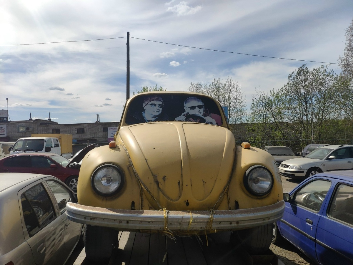    фото: © Столица на Онего