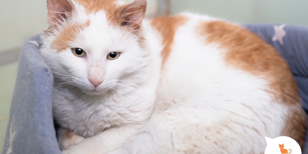 В семье мы любимы и счастливы