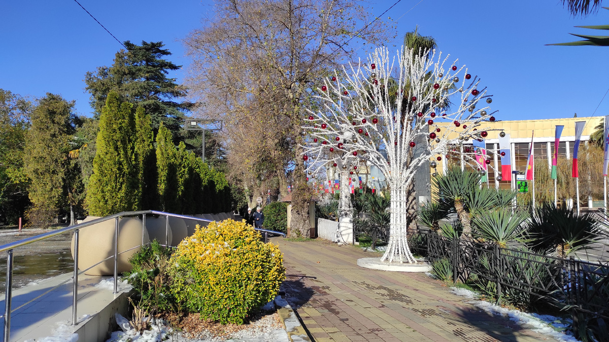 Обычно зимой в Сочи все-таки вот так. Тепло и солнечно. Фото: Кирилл Полиенко / Polienko: путешествуем вдвоём