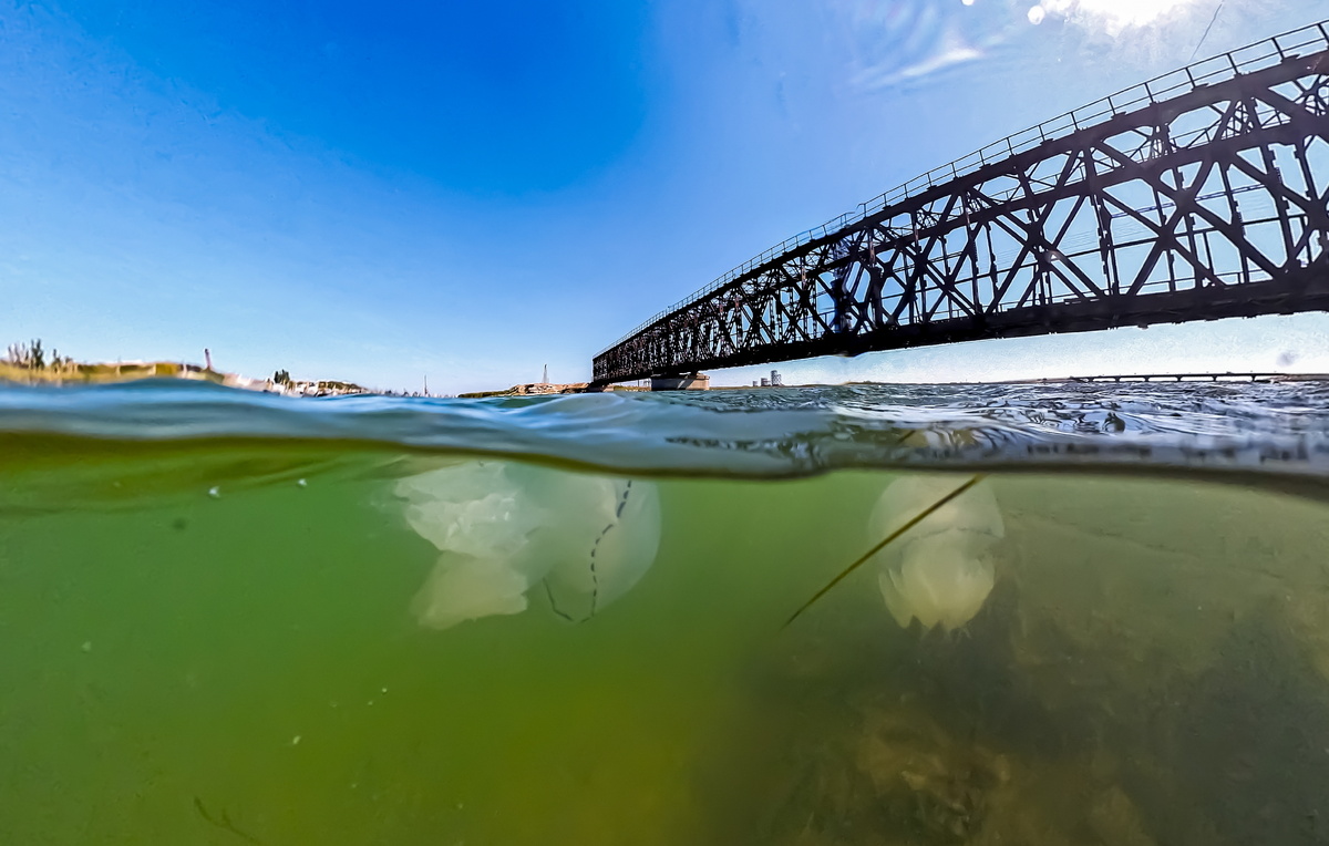 Алексей Коновалов/ТАСС