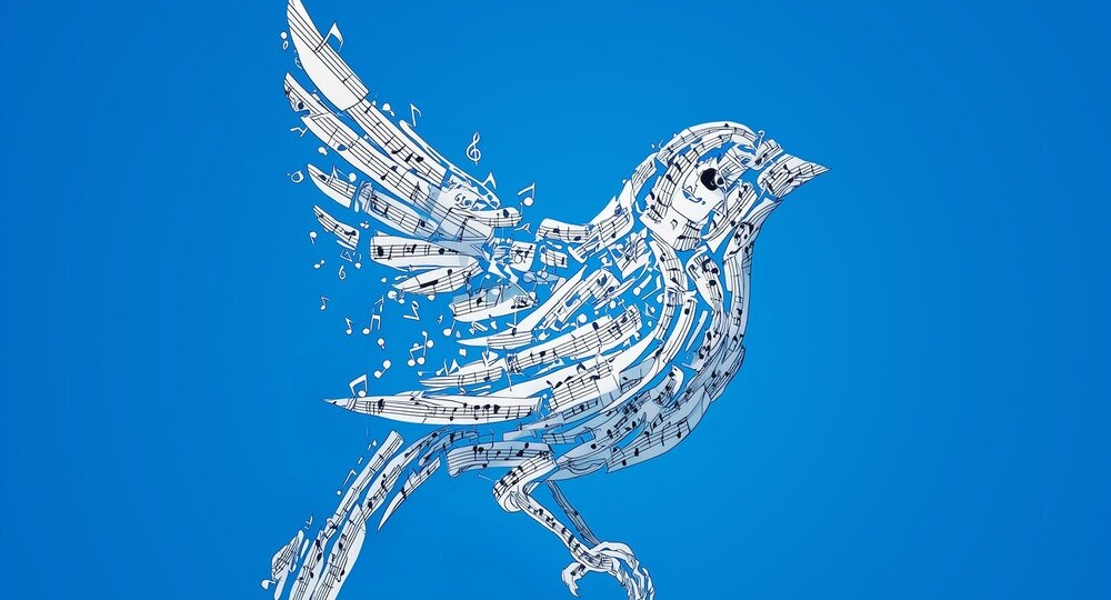 Кулстори: каждый голос важен в хоре — детская симфония Константина Арсенева