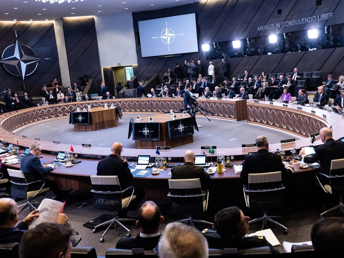     НАТО рискует потерять смысл существования при развитии конфликта из-за Гренландии