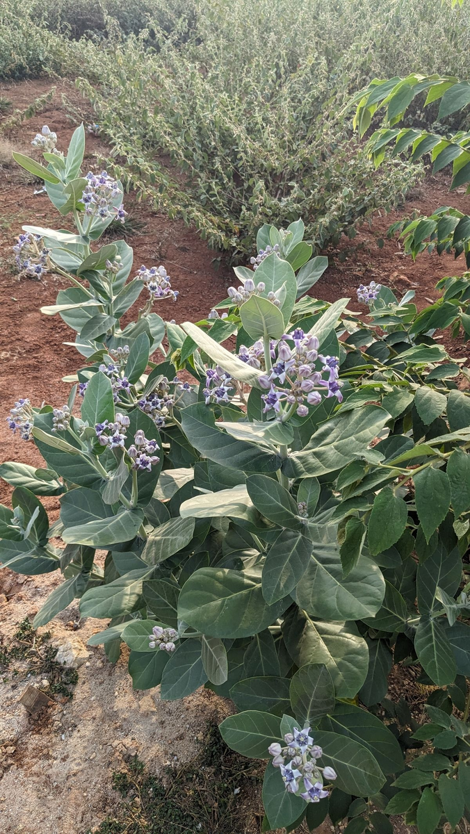 Для начала - общий план