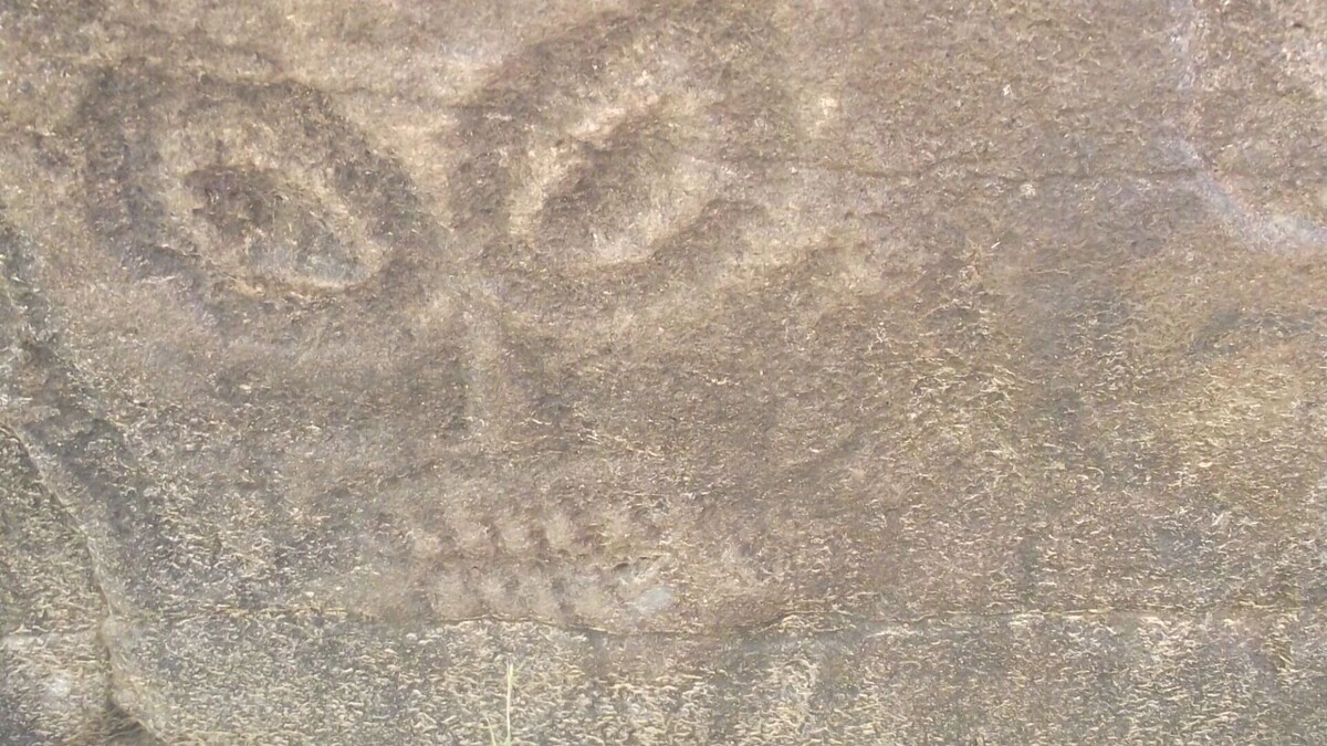    петроглиф   transsibinfo.com