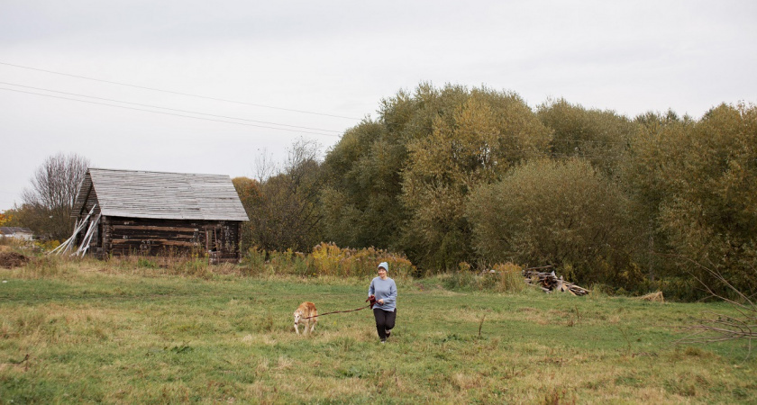    фото freepik.com