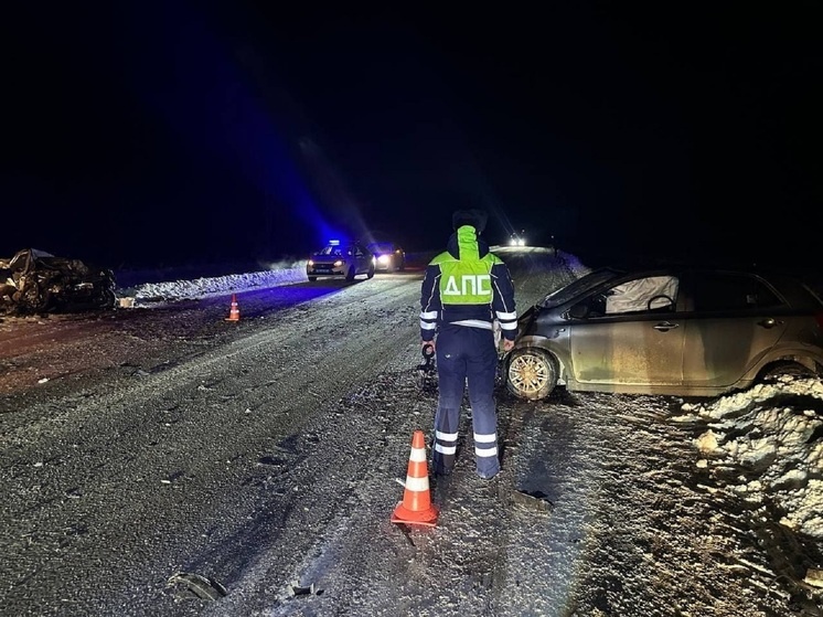     Смертельное ДТП на дороге Ачит – Месягутово. Фото: t.me/gibdd_66.