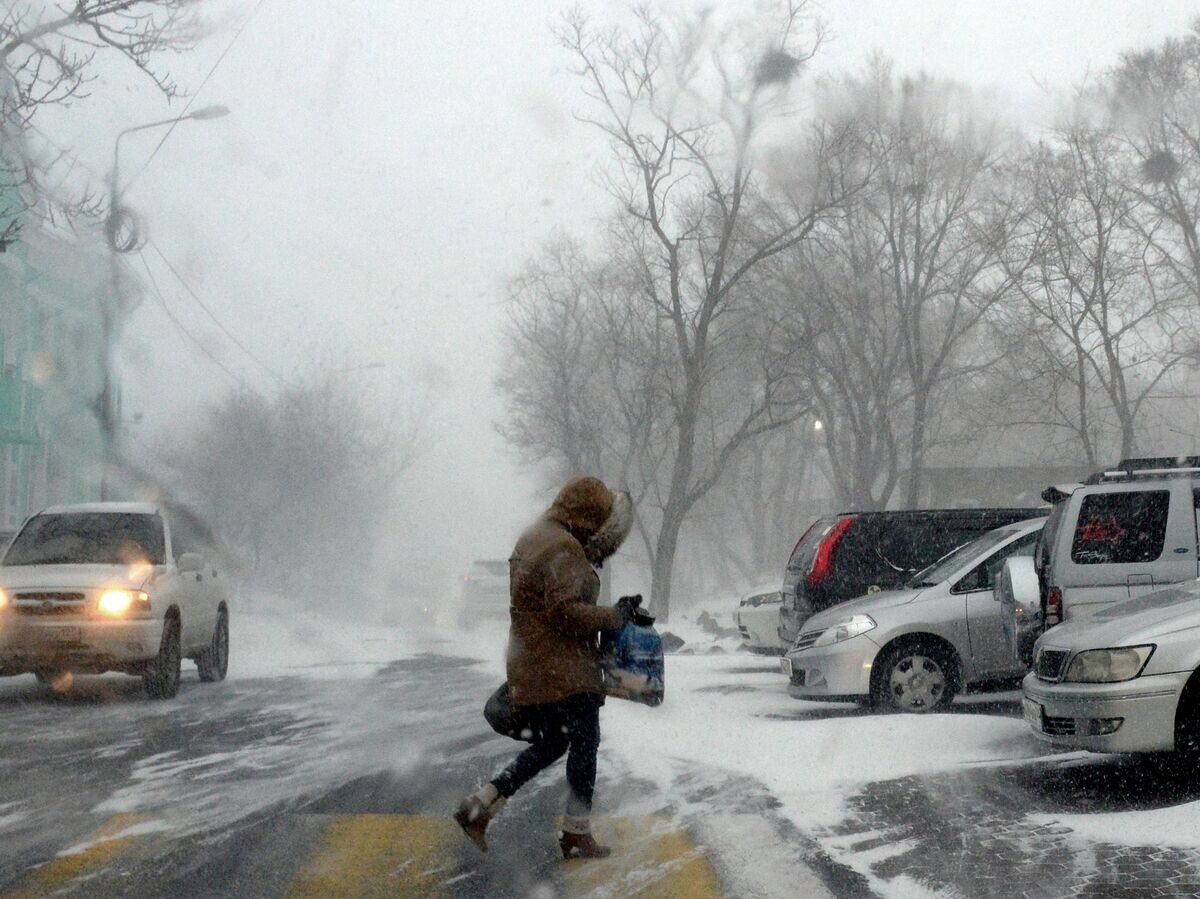    Прохожий на Комсомольской улице во время снежного циклона во Владивостоке | © РИА Новости / Виталий Аньков