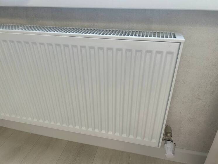     Фото: МК-Кавказ