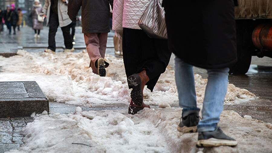    Фото: ИЗВЕСТИЯ/Телеканал «78»