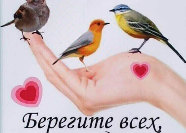 Про жителей нашего дома.