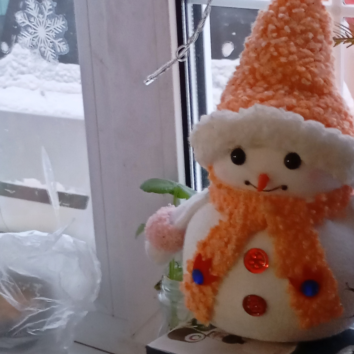 Нас опять засыпало снегом,,и сорока пролетала и на окно нам. шлёпнула