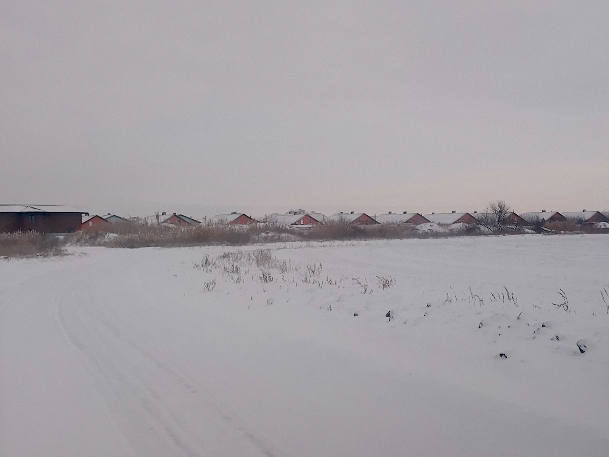 Снежное поле до ветра