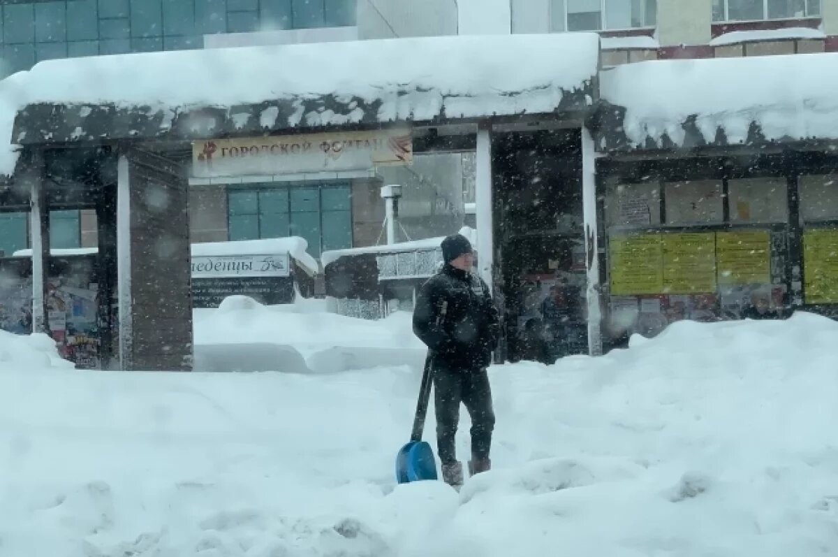    Циклон принесёт ощутимое потепление в Петропавловск-Камчатский