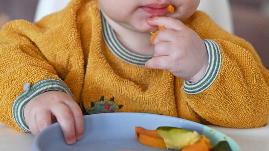    Фото: Global Look Press/Elisa Schu