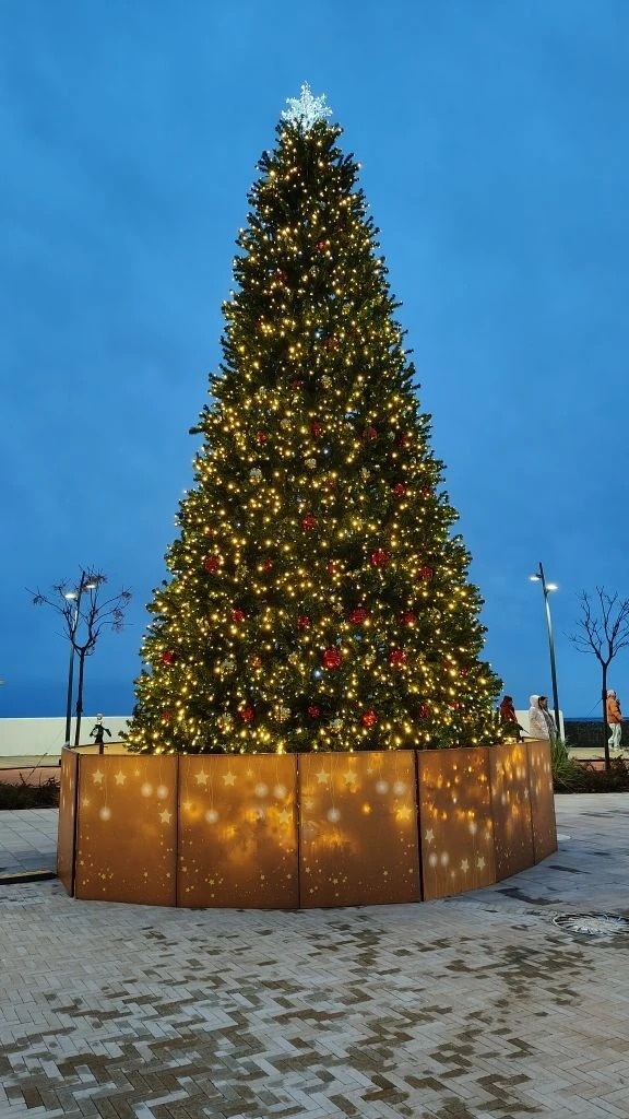 Ёлка у самого Чёрного моря🎄🌊
