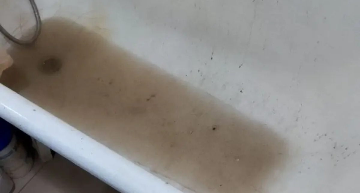    телеграм-канал Жесть Ярославль. с сайта s14.stc.yc.kpcdn.net