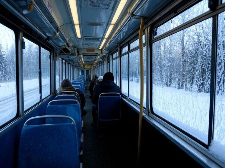     Фото нейросеть Шедеврум