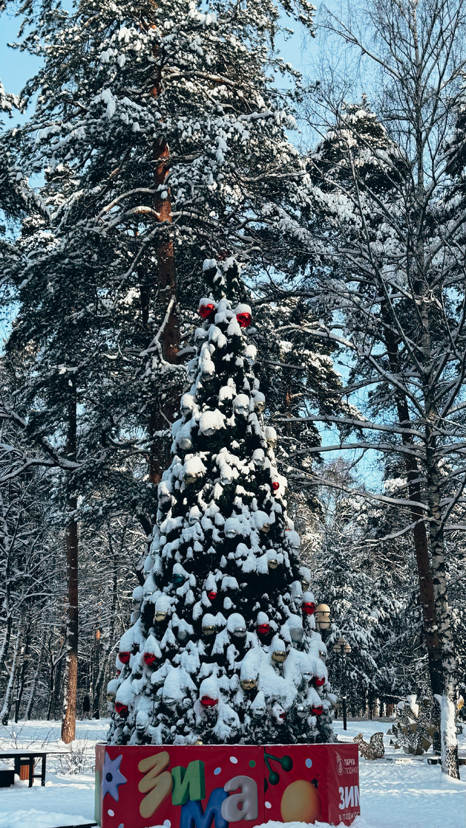 В прошлом году я уже смирилась с мыслью о том, что, видимо, климат в моем регионе так сильно поменялся, что красивой зимы ждать не стоит, но этот январь просто «разрыв сердечка». Вот такую зиму я люблю очень ❤️ 
