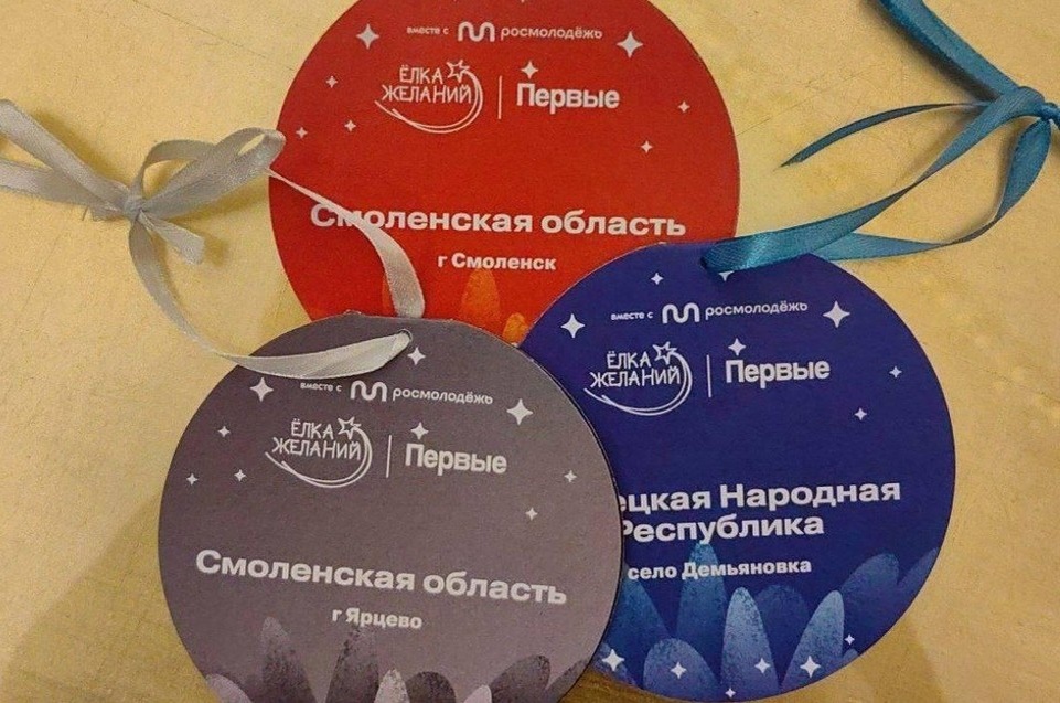    Губернатор принял участие в традиционной благотворительной акции «Елка желаний» и узнал про мечту юного жителя ДНР. Фото: t.me/Mangush_mo