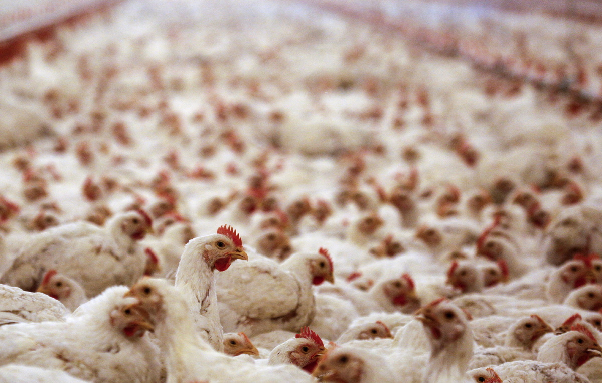 Михаил Джапаридзе/ТАСС