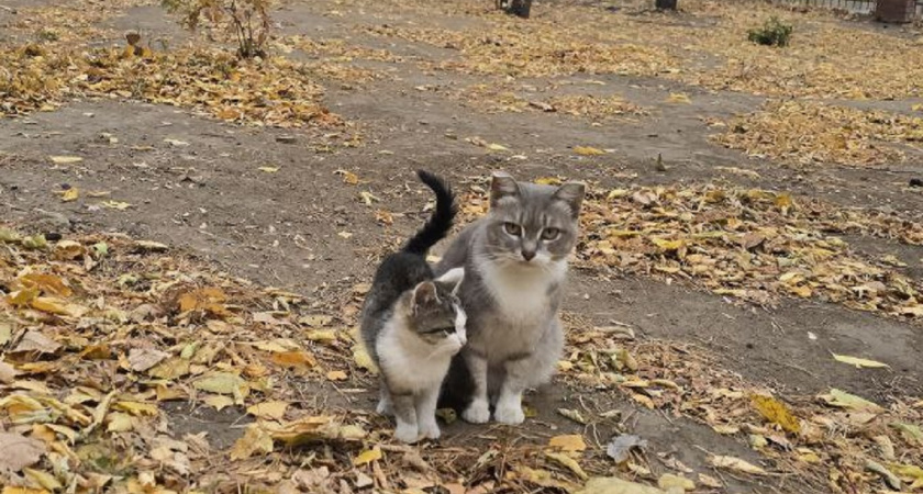    Фото Анастасии Дмитриевой