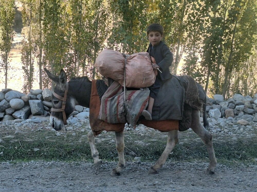    Путешествие по Афганистану, © Егор Ковальчук