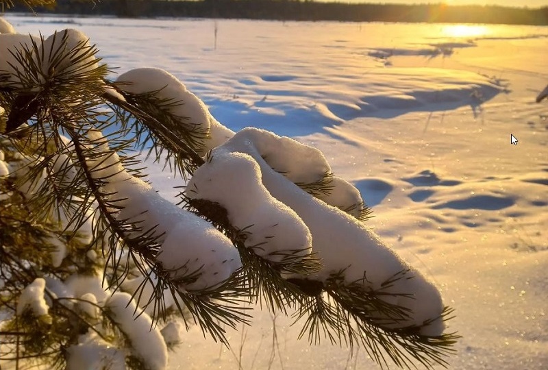 Мороз и солнце! День чудесный! Как прогулки на свежем воздухе улучшают наше самочувствие