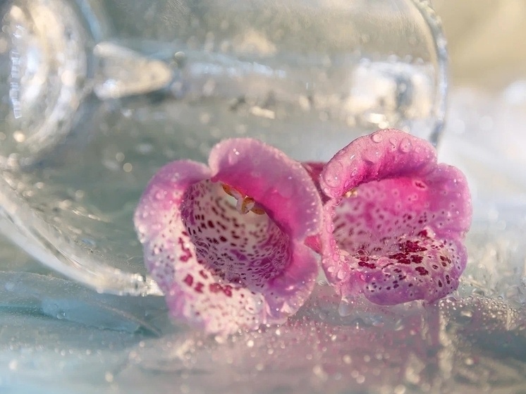     Фото: Наталья Кузнецова