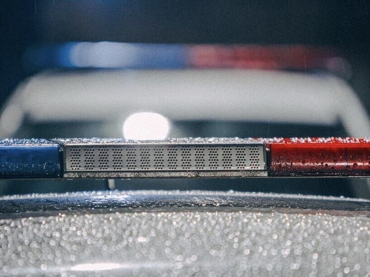     Фото: Официальный канал Управления Государственной инспекции безопасности дорожного движения по г.Санкт-Петербургу и Ленинградской области в телеграме.