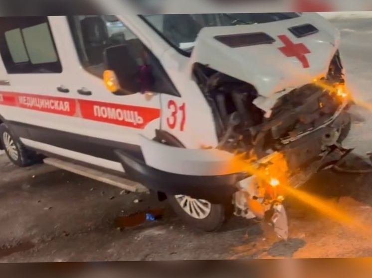     Фото пресс-службы Госавтоинспекции Архангельской области