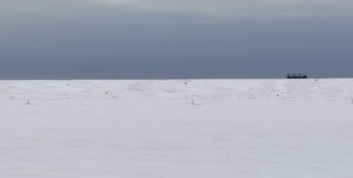 На снимке судно «EVGENIA», которое под флагом Танзании привезло уголь из Находки в чукотское село / Фото: телеграм-канал «Доска позора Чукотки»