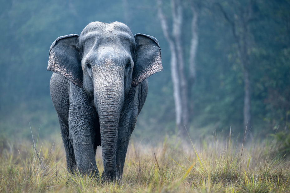    Создано ИИ/NEWS.ru