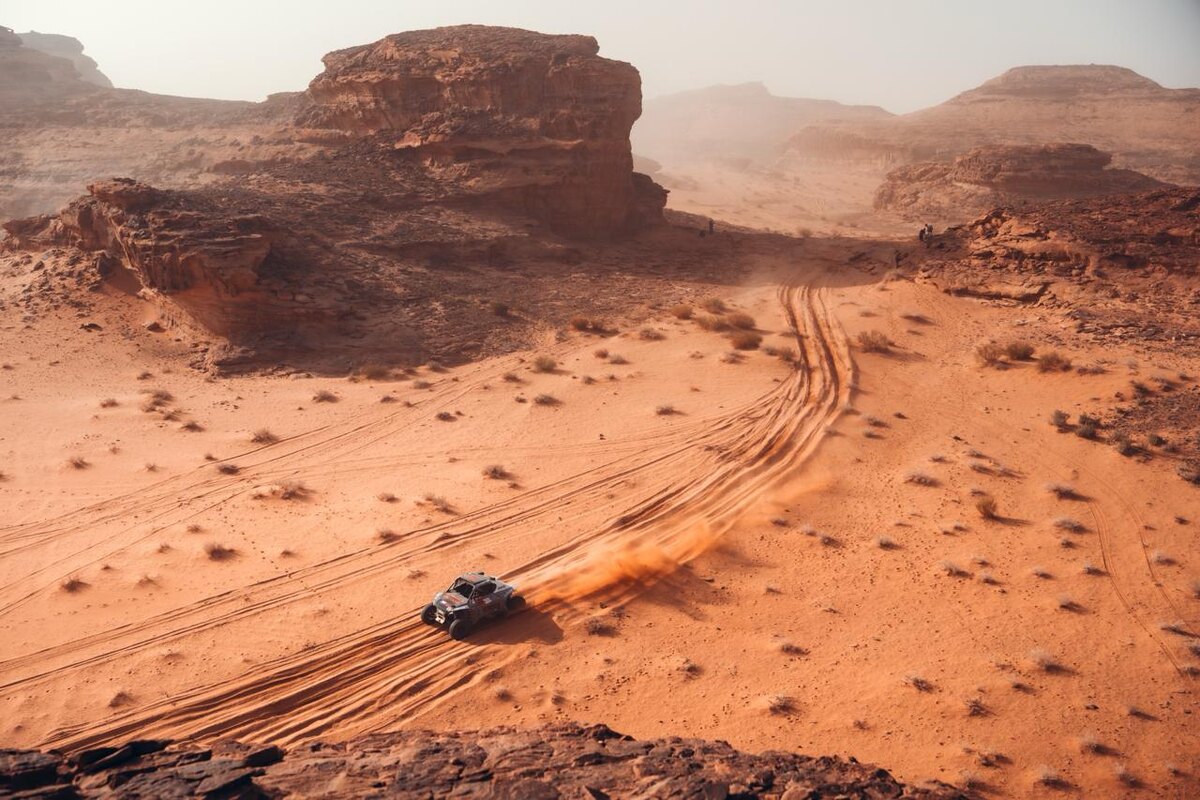 Фото: Сергей Ременник  📷
