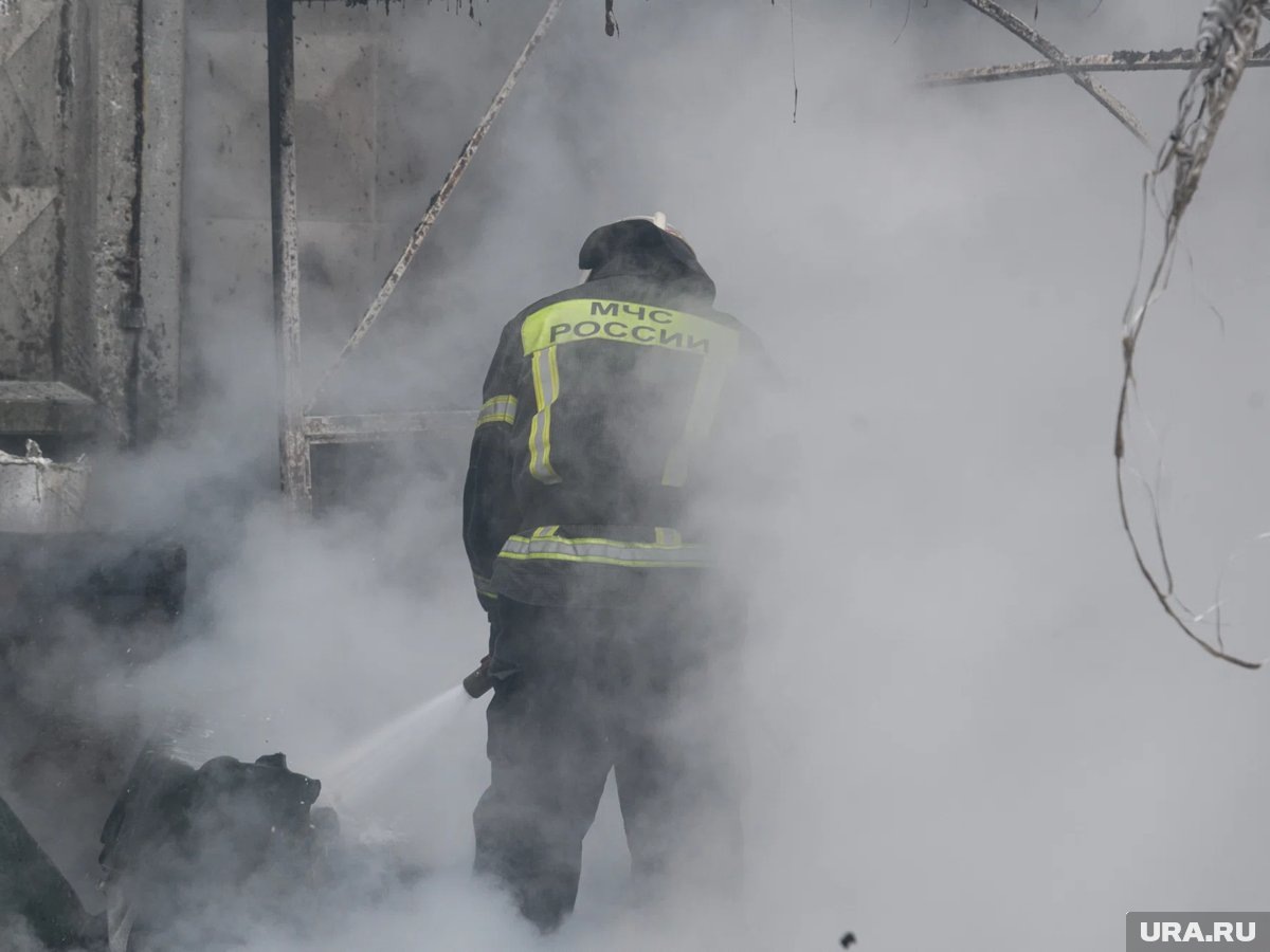     В кафе хотят лично поблагодарить мужчину за неравнодушие и оперативность