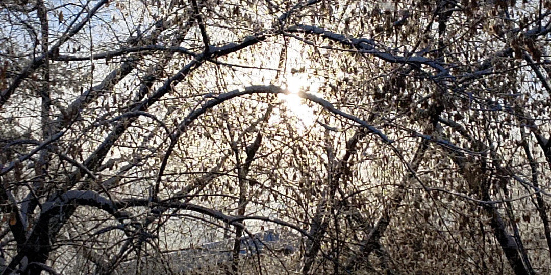 Миг волшебства