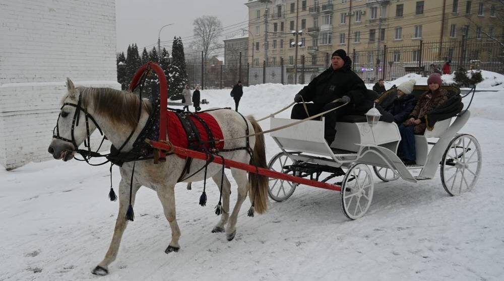    Фото: Брянская епархия