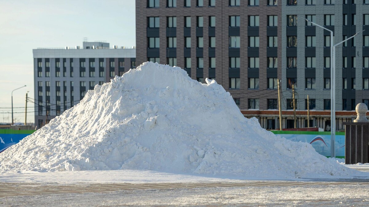    Фото: Федор Воронов/«Ямал-Медиа»