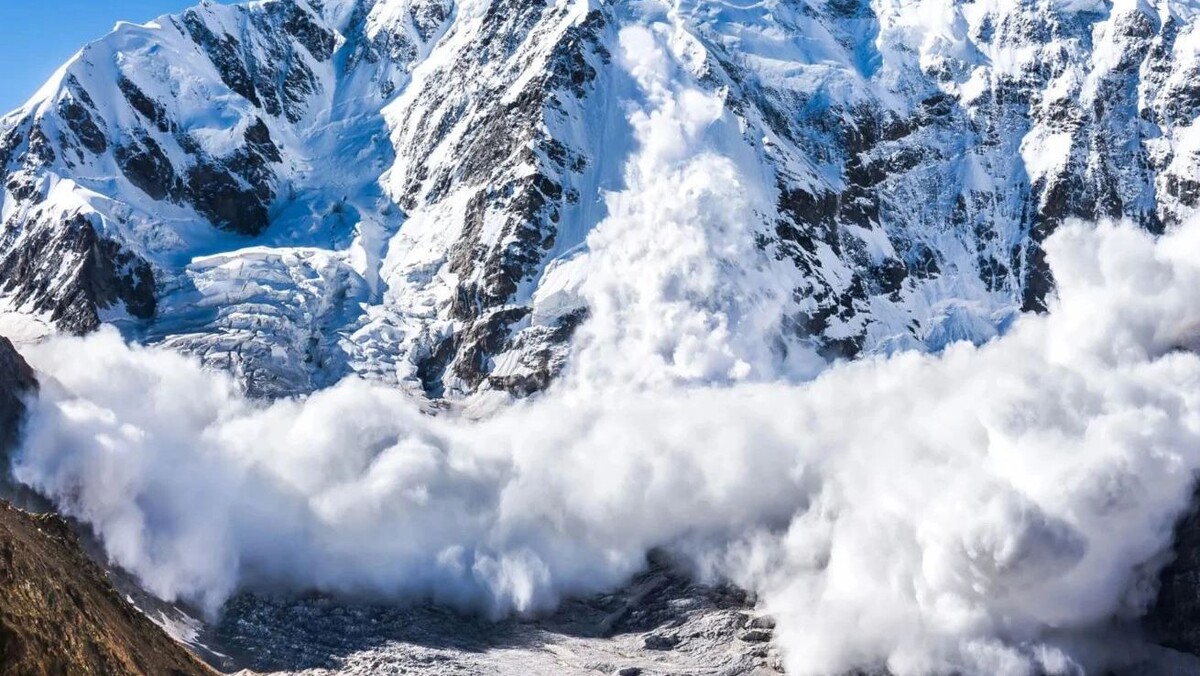    Фото: Lysogor Roman/Shutterstock/Fotodom