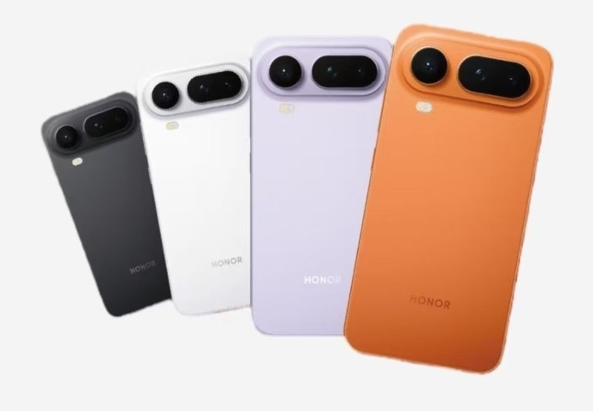 Изображение Bald Panda  📷
