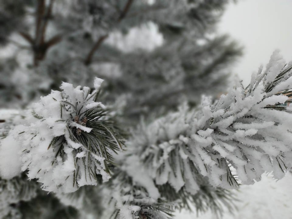    Фото: REGIONS/Роман Малышенко