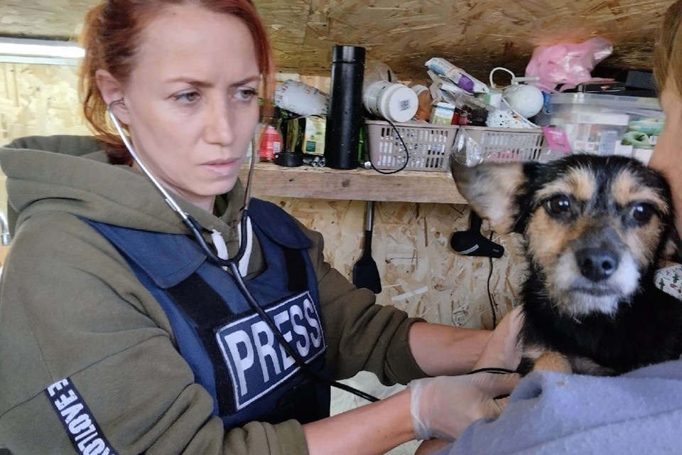    Майя с 2022 года ездит в зону СВО спасать брошенных при обстрелах животных. из архива героя публикации