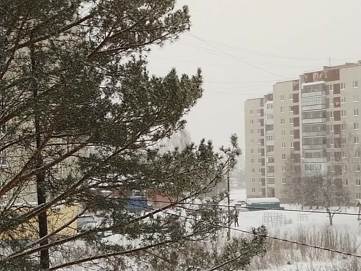 8 января, полдень